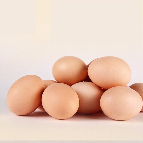 Egg